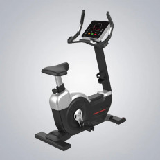 life-sport upright bike